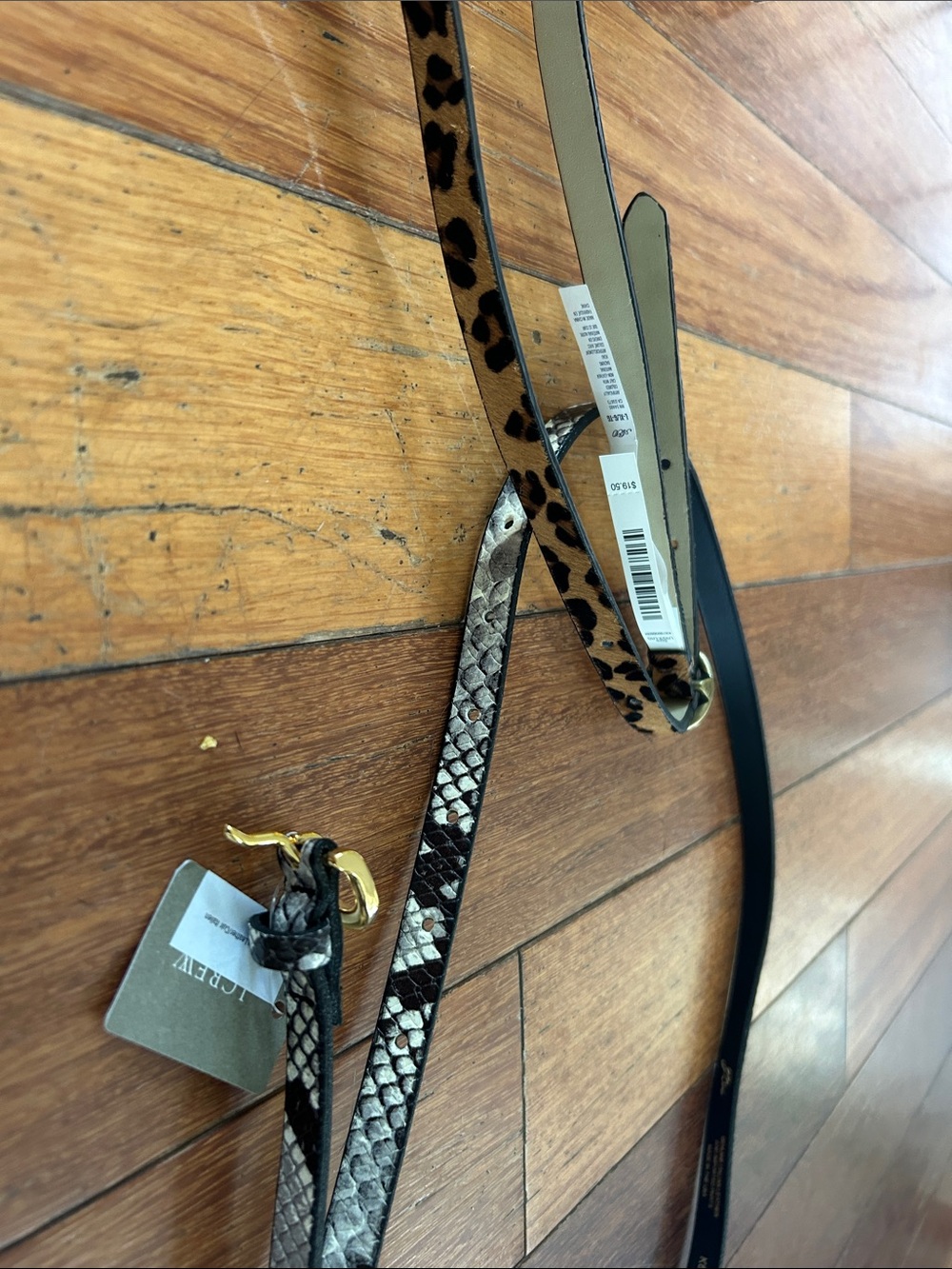 CO Mixed Animal Print Women's Belt in Leopard and Snake Patterns